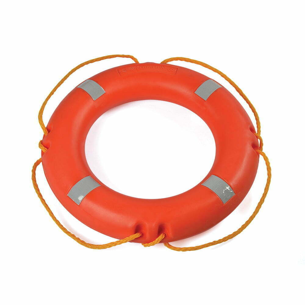 Lifebuoy (2.5 KGs)