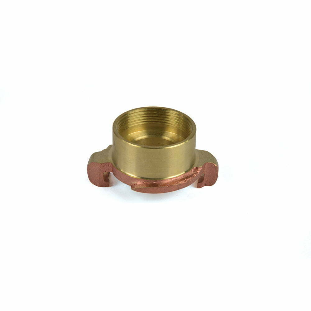 Adaptor (Russia Type)