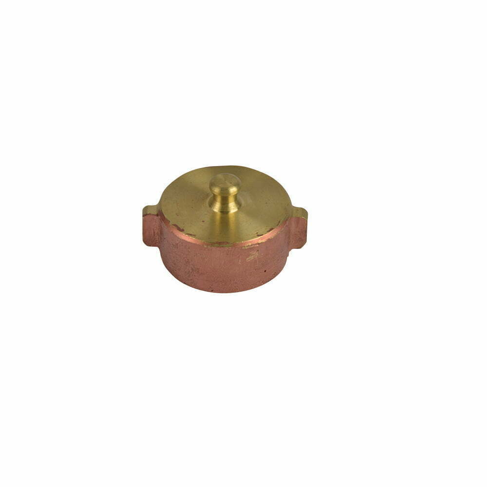 Blank Caps (US Type)